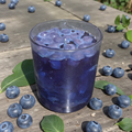 BLUEBERRY OBSESSION
